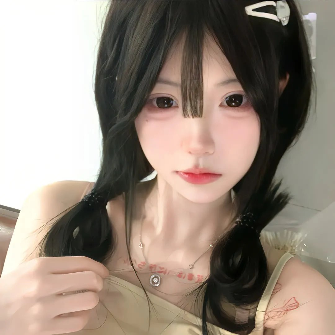 完美伴侣2025 海报